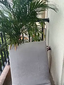 Snapshot of Pretty_Isadora chatting on 03-04-26, 04:57 Pretty Isadora online show from 03-04-26, 04:57