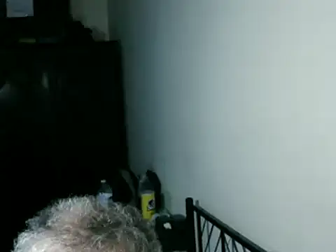 100Tauros online show from 03-08-26, 08:51