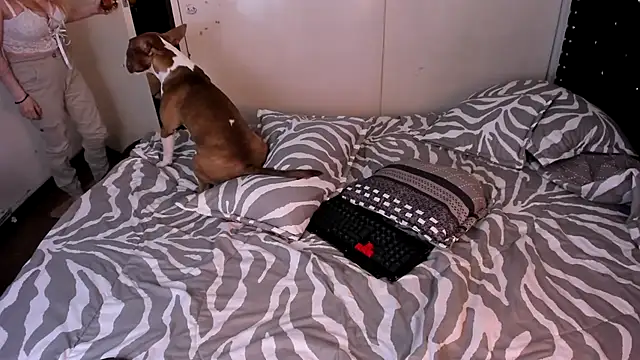 valerie luxe  online show from 01-15-26, 04:39