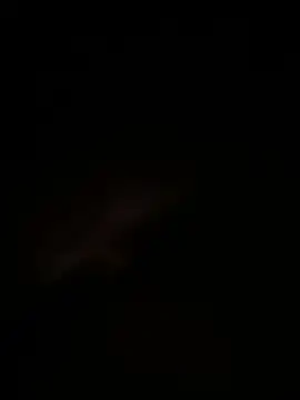 andres66152 online show from 07-13-26, 03:09