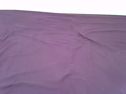 tasty piee online show from 11-07-25, 03:17