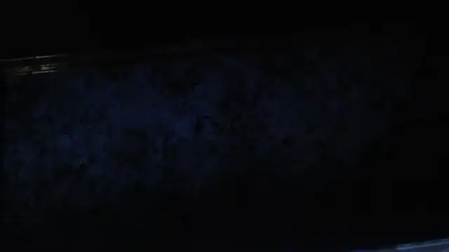 Snapshot of joeydee1 chatting on 02-17-25, 11:20 joeydee1 online show from 02-17-25, 11:20