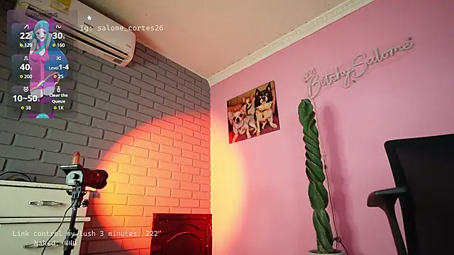 Snapshot of salome_cortes26 chatting on 05-04-26, 06:04 salome cortes26 online show from 05-04-26, 06:04