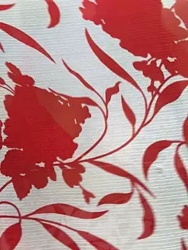 Sexy Evelynn online show from 02-22-26, 04:24