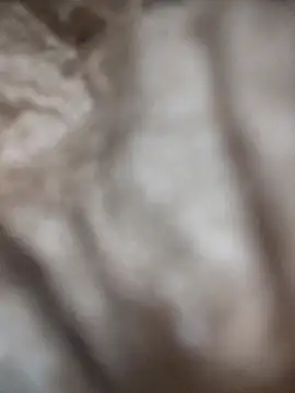 VL25DN26 online show from 03-09-26, 01:59