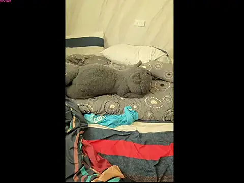 bbhiShark online show from 07-02-26, 03:06