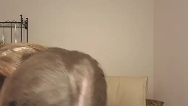 Helens love online show from 05-30-26, 01:25