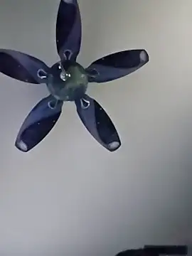 honeymex online show from 09-18-25, 10:56