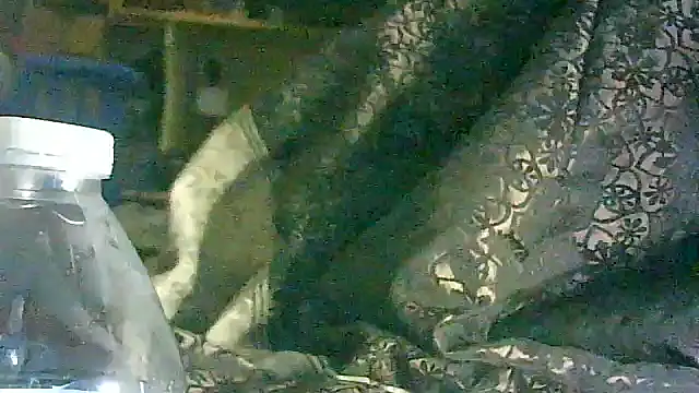 Snapshot of DI4MOND_FIR3 chatting on 03-17-26, 05:55 DI4MOND FIR3 online show from 03-17-26, 05:55