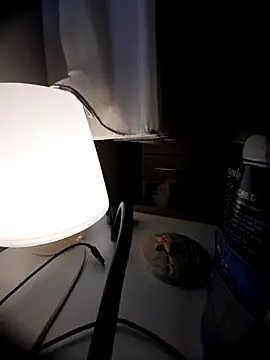 Snapshot of bluangelo chatting on 03-08-26, 01:37 bluangelo online show from 03-08-26, 01:37