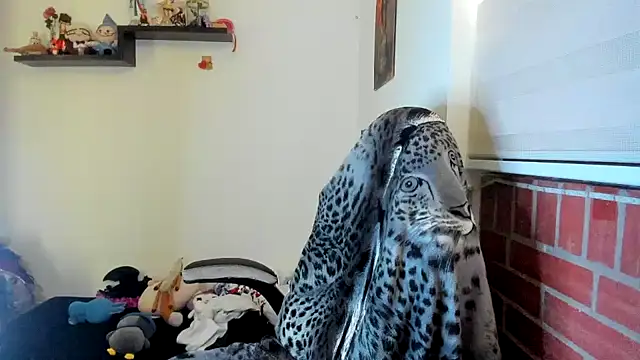 Shaddycute  online show from 05-19-26, 02:01