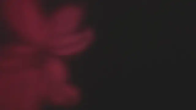 Lola69Rosexxx online show from 02-02-25, 09:45