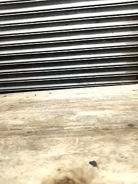 Bhabhi desi12 online show from 11-09-25, 09:18