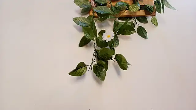 mss samy online show from 02-13-26, 03:13