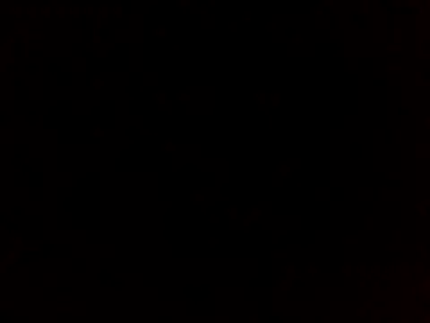 sammymoon online show from 12-20-24, 01:11