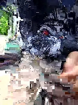 papi lover12 online show from 05-23-26, 06:12