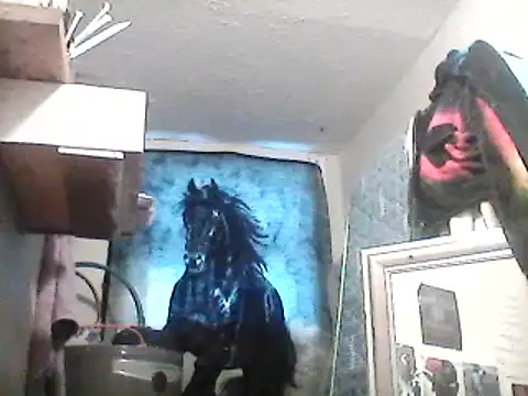 lilbishmiss online show from 02-13-25, 01:15