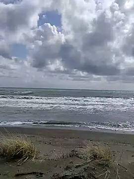 dhaadhawe online show from 03-21-26, 11:59