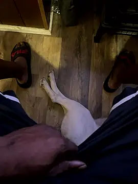 SukItSlo444 online show from 04-11-26, 09:41