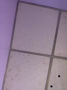 Nicol1997 online show from 02-01-26, 08:29