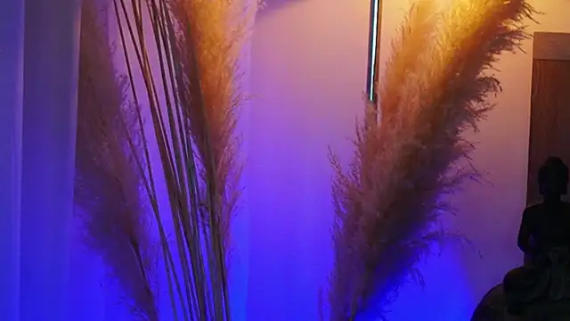 Snapshot of AliceShazaham_ chatting on 09-12-25, 07:08 AliceShazaham online show from 09-12-25, 07:08