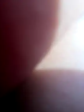 Blue butterfly online show from 09-28-25, 06:13