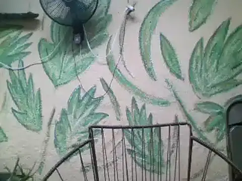 friendsloversex online show from 03-21-25, 05:02