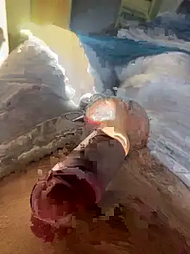 toto36643 online show from 02-23-26, 10:23