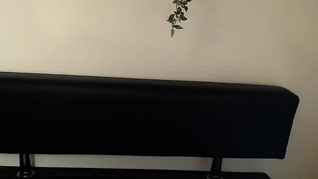 LaimaV  online show from 04-10-26, 04:55