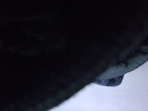 exmilitary online show from 02-15-26, 12:58