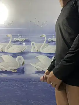 cute panda03 online show from 01-17-25, 12:10