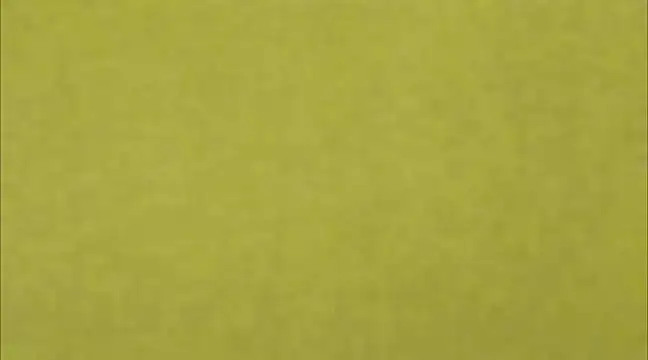 AnneGagner online show from 03-09-25, 06:32