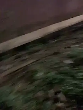 Black mamba madingo online show from 01-17-25, 06:33