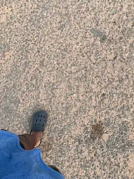 Black mamba madingo online show from 01-30-25, 08:11