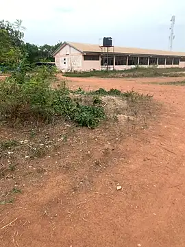 Black mamba madingo online show from 02-22-25, 03:25