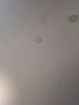 geilerschwanz64 online show from 02-19-25, 07:05