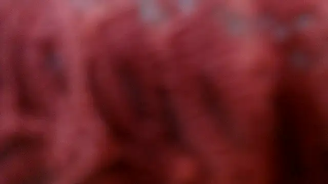 AretiAlisya online show from 04-15-26, 05:14