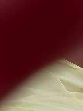 Snapshot of lariic chatting on 03-31-26, 06:41 lariic online show from 03-31-26, 06:41