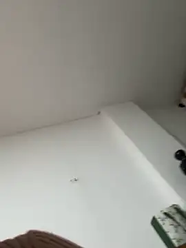 siri duque online show from 01-07-26, 01:30