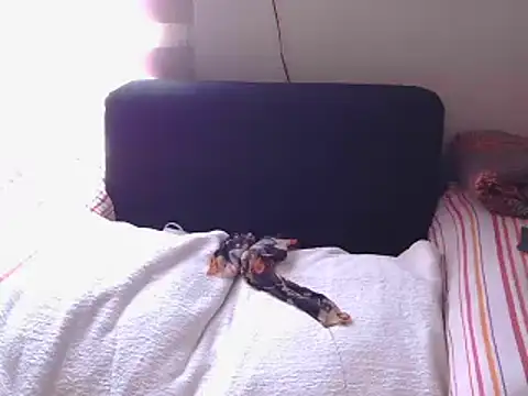 Mollybrookexx online show from 12-11-24, 08:04