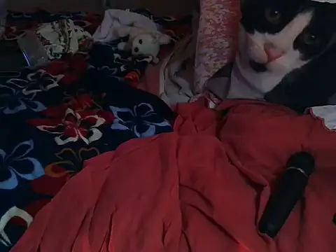 VeneRed online show from 03-08-26, 06:55