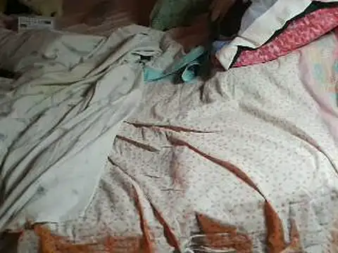 VeneRed online show from 04-11-26, 07:29