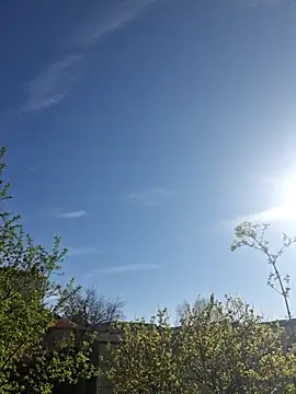 Snapshot of CeriseLapine chatting on 03-28-26, 07:41 CeriseLapine online show from 03-28-26, 07:41