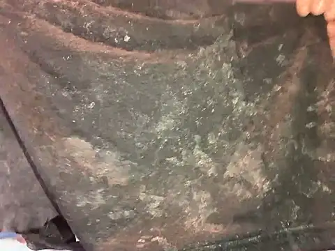 barenlund456 online show from 04-19-26, 08:55