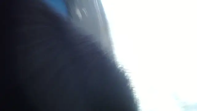 Snapshot of esjrobles chatting on 07-31-26, 03:55 esjrobles online show from 07-31-26, 03:55