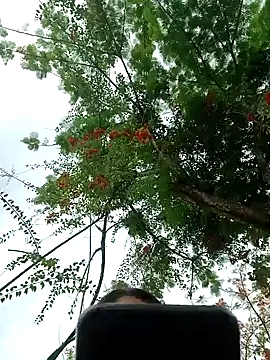 Snapshot of Karol-kamila19 chatting on 12-03-24, 09:01 Karol-kamila19 online show from 12-03-24, 09:01