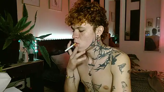 andrewWolffman online show from 05-25-26, 03:12