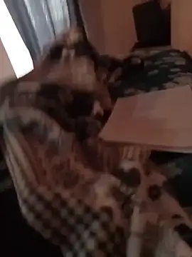 Snapshot of MrTamburine22 chatting on 02-27-26, 01:44 MrTamburine22 online show from 02-27-26, 01:44