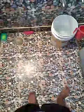 raamcxy online show from 12-25-24, 02:57