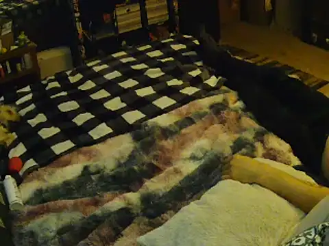 EroticKityii online show from 04-01-26, 05:08